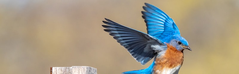 Activity cover photo